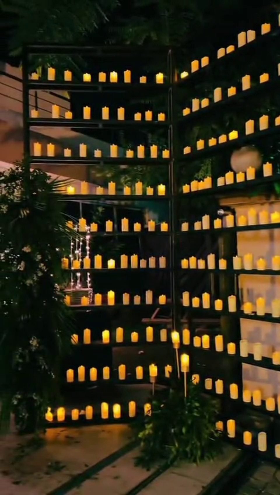 Royal Grand Celebrations Video Highlight